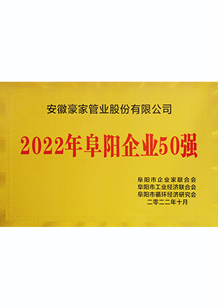 2022年阜陽企業(yè)50強